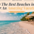 Explore the Best Beaches in Aruba for an Amazing Vacation