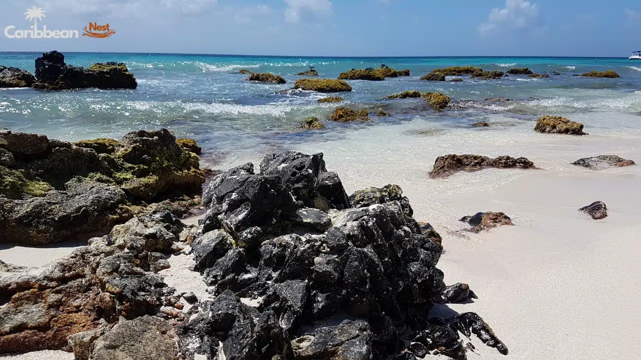 10 Best Beaches in Aruba You Need to Visit in 2026 12 10 Best Beaches in Aruba You Need to Visit in 2025