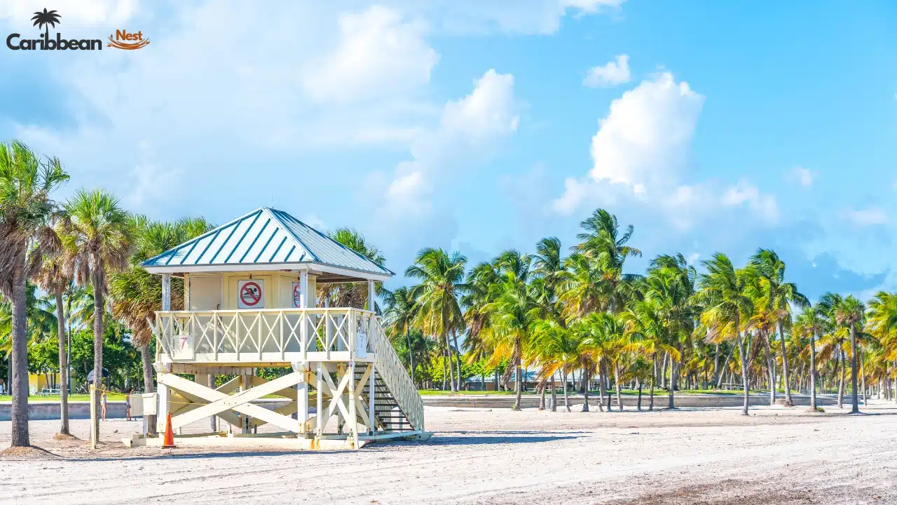 10 Best Beaches in Aruba You Need to Visit in 2026 3 10 Best Beaches in Aruba You Need to Visit in 2025