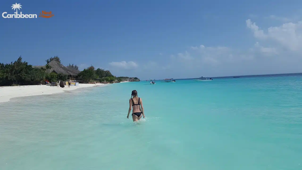 10 Best Beaches in Aruba You Need to Visit in 2026 8 10 Best Beaches in Aruba You Need to Visit in 2025