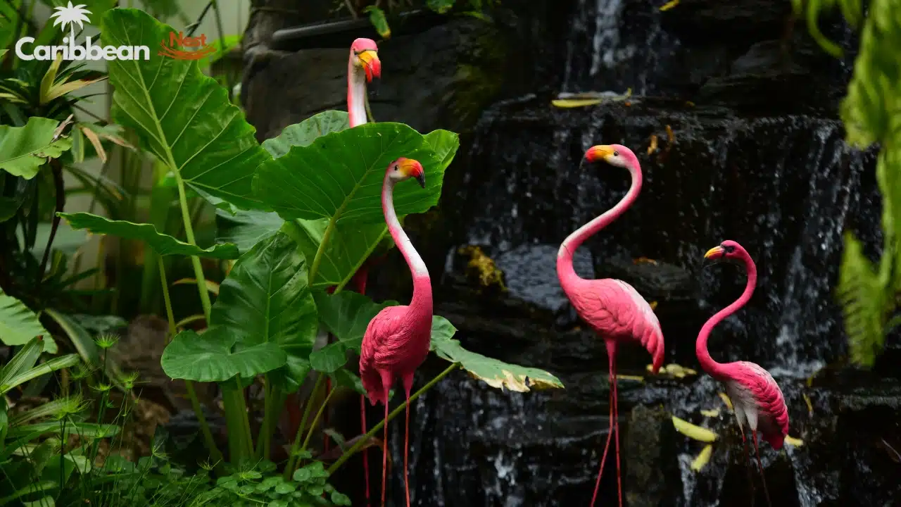 Aruba Wildlife Guide 2026 - Safari Tours, Reptiles, and Marine Life 14 Aruba Wildlife Guide - Safari Tours, Reptiles, and Marine Life