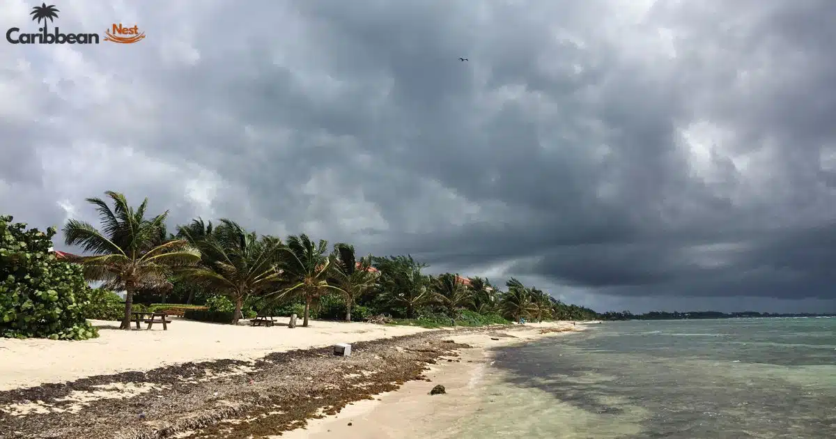 Where Is Aruba Located? Discover Aruba’s Geography, Facts, and Climate