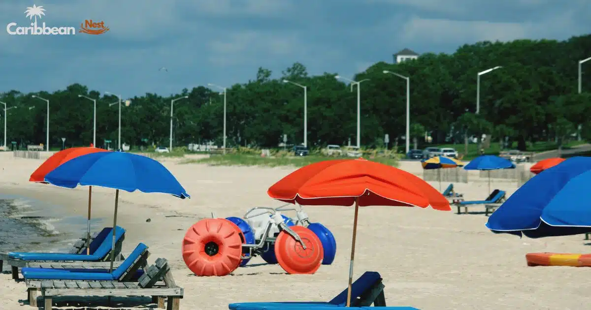 Discover Aruba's Red Light District – Laws, Tours, and Secrets 7 Discover Aruba's Red Light District – Laws, Tours, and Secrets