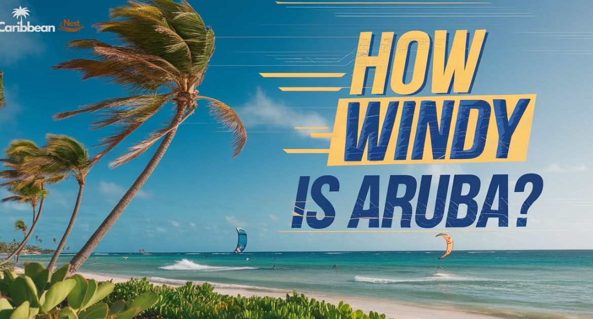 Aruba trade winds
