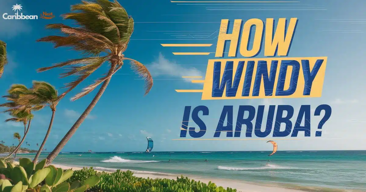 Aruba trade winds