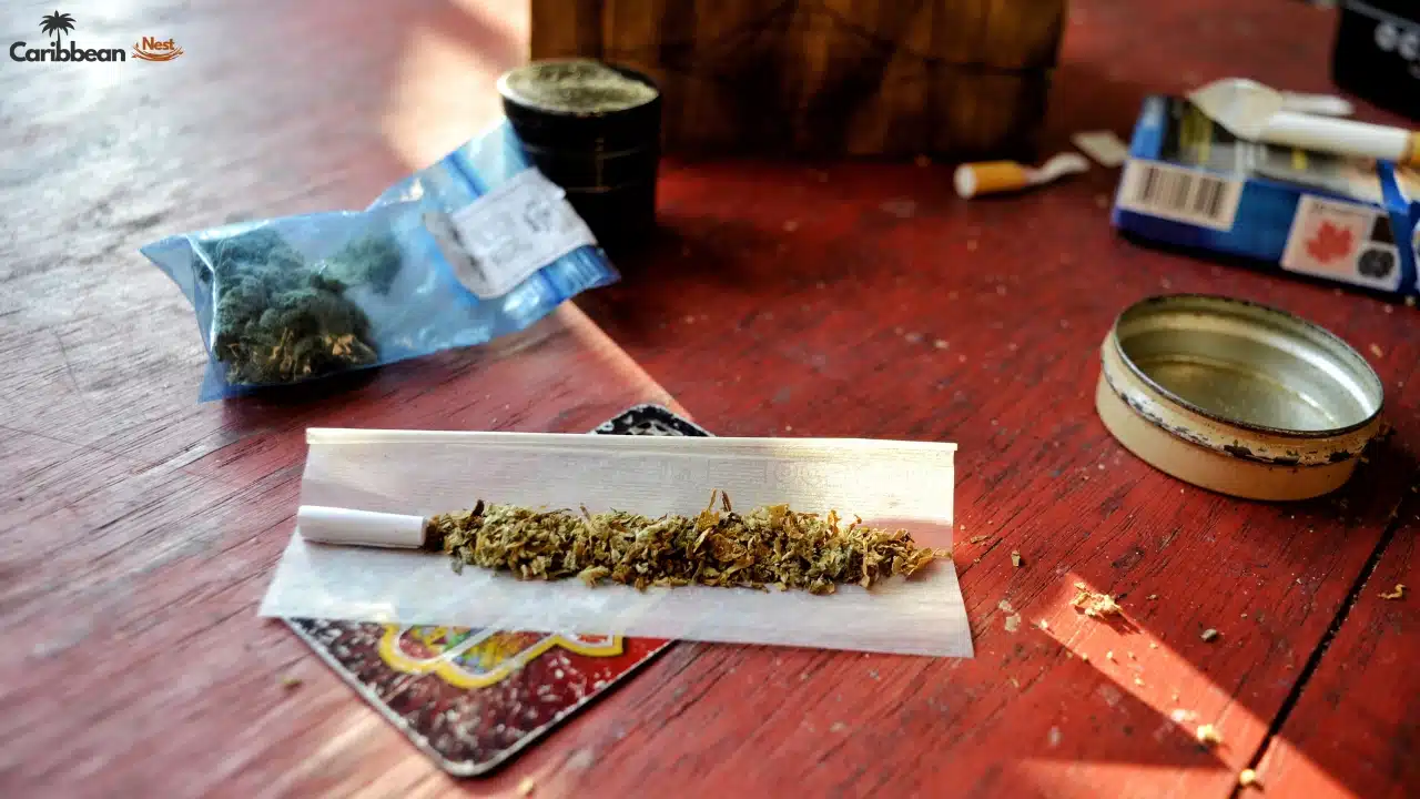 Is Marijuana and Cannabis Legal in Aruba 2025?