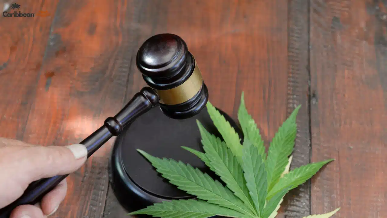 Is Marijuana and Cannabis Legal in Aruba 2025?