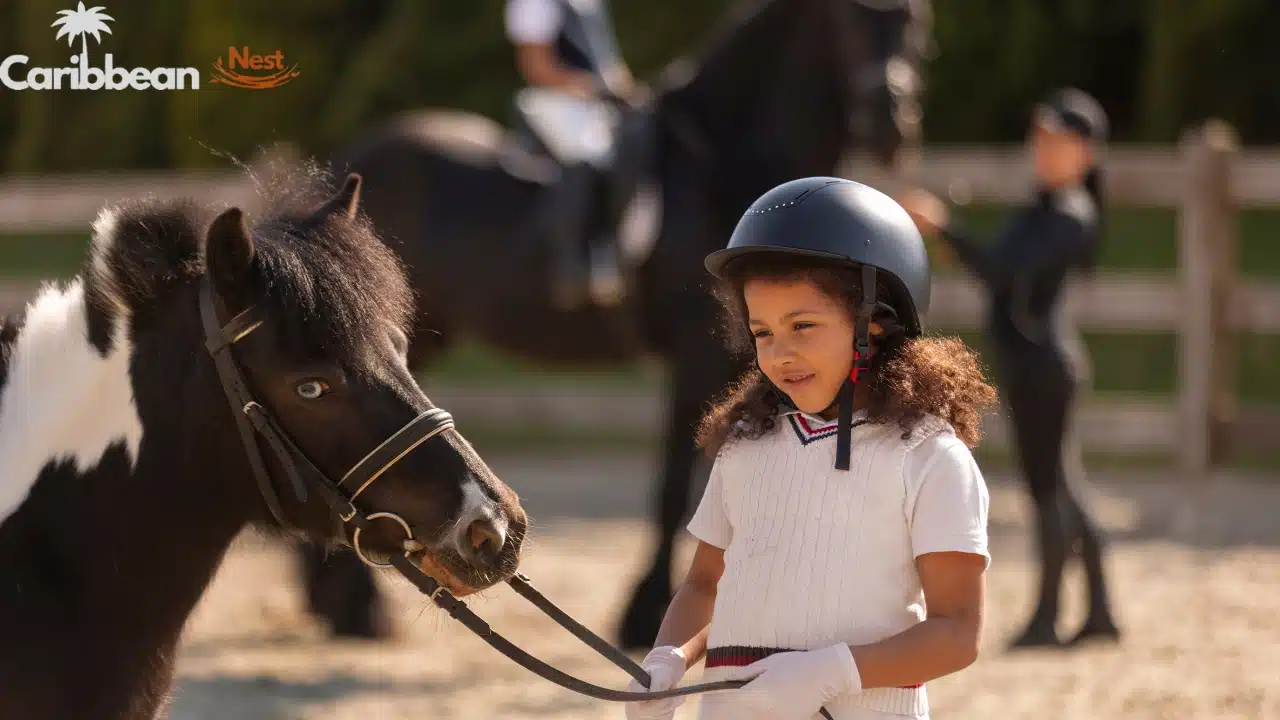 things-to-do-in-aruba-with-kids