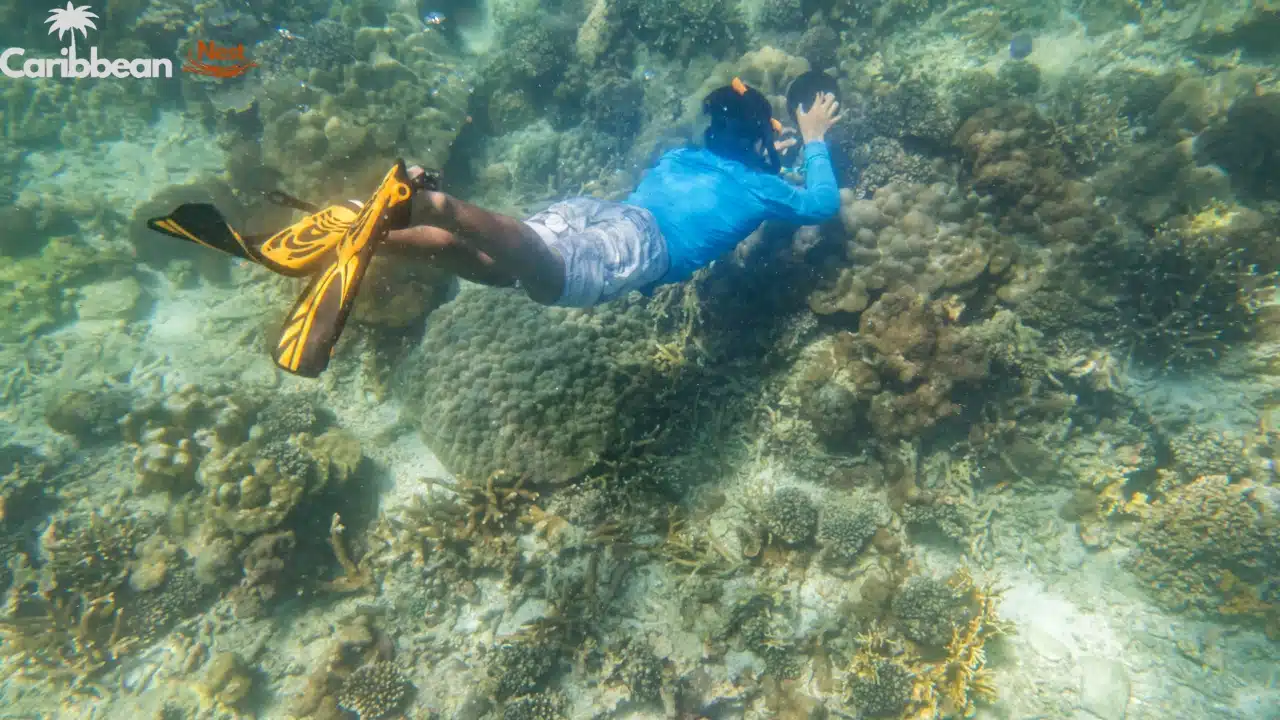 why-visit-boca-catalina-beach