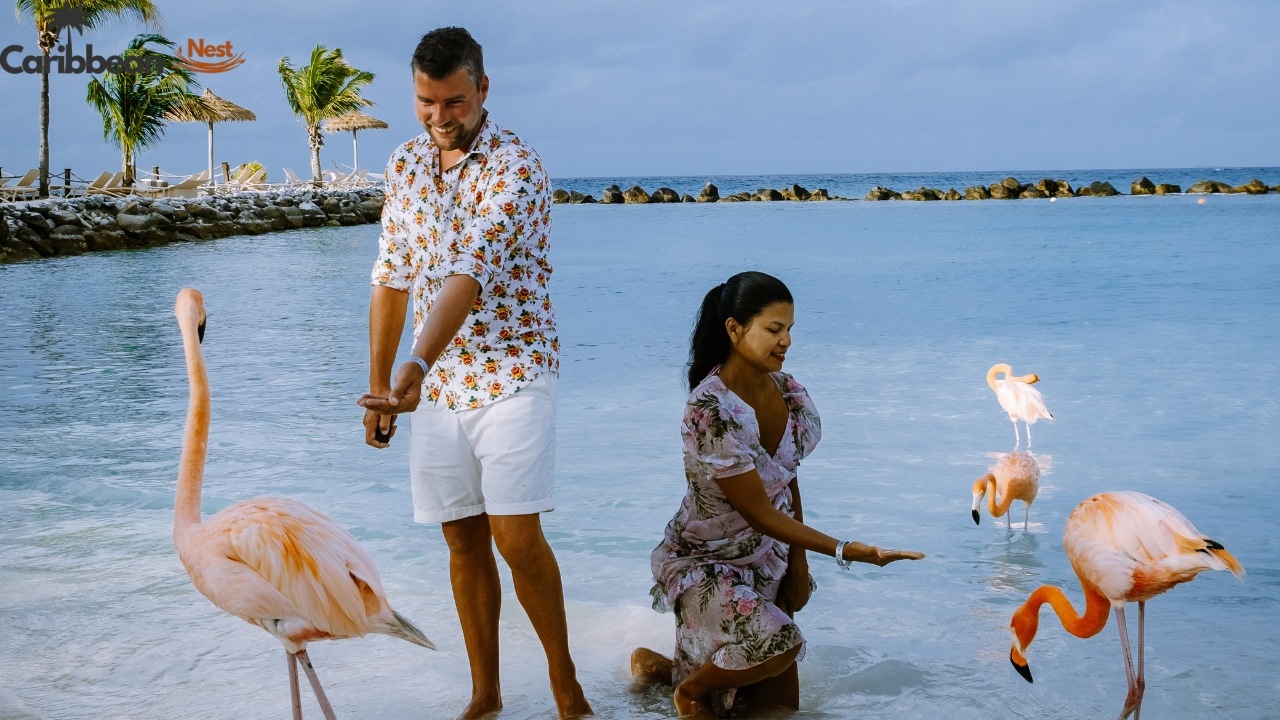 visiting-flamingo-beach-with-family