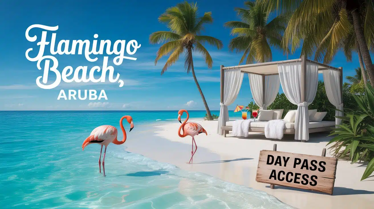 a highly realistic photograph of a