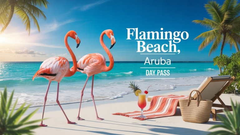 flamingo-beach-aruba-day-pass-everything-you-need-to-know