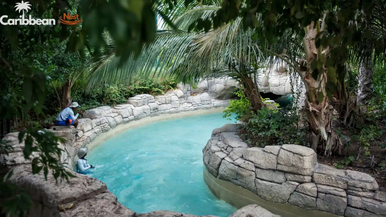 Explore Aruba's Natural Cave Pool in 2026 2 discover-arubas-natural-cave-pool