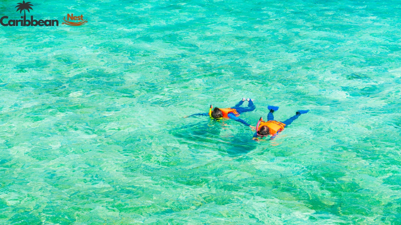 things-to-know-before-you-go-aruba