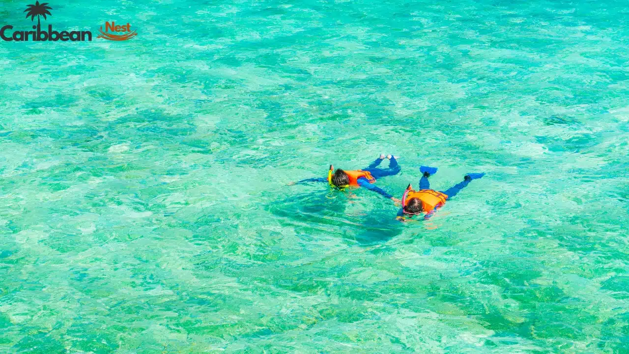 Explore Aruba's Natural Cave Pool in 2026 10 things-to-know-before-you-go-aruba