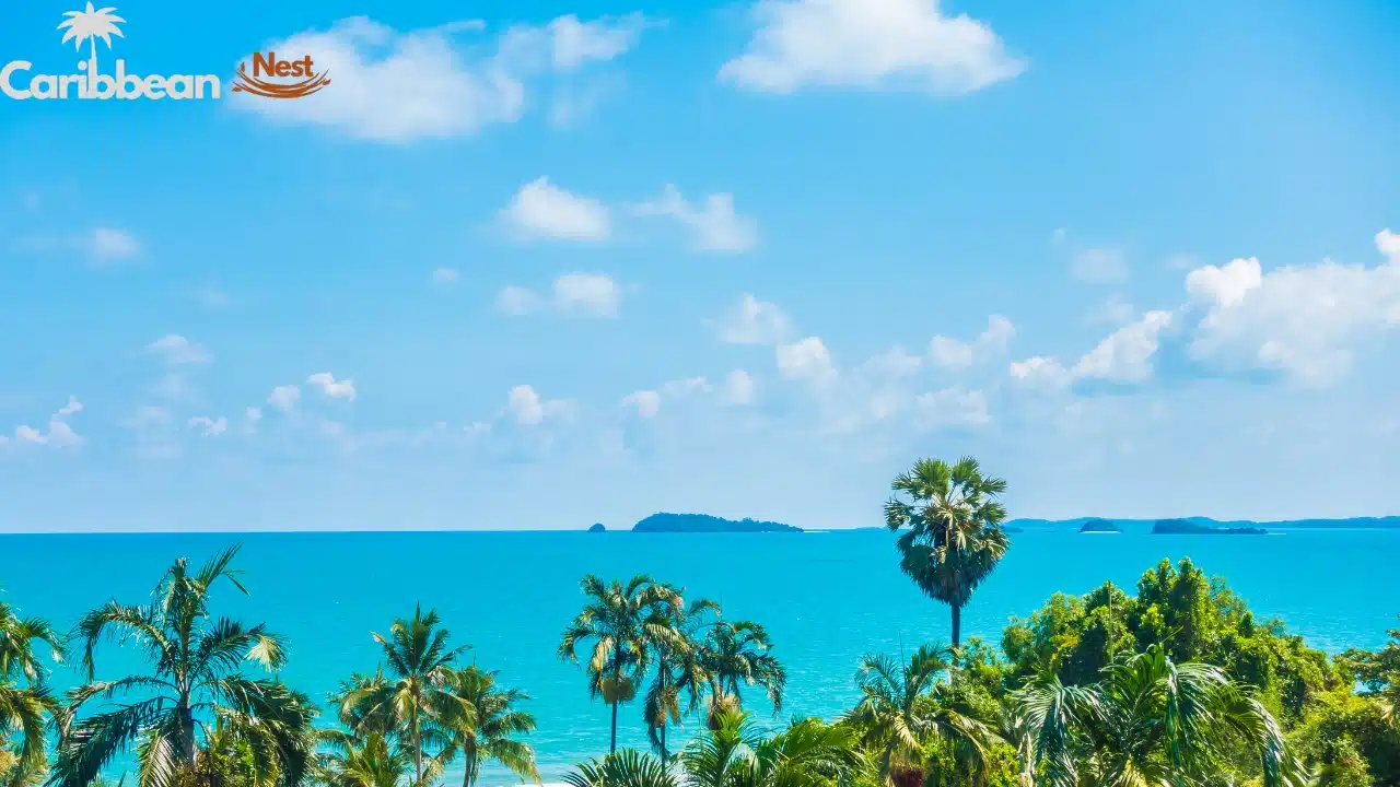 Is Aruba Worth Visiting in 2026? A Caribbean Dream 6 best-time-to-visit-aruba