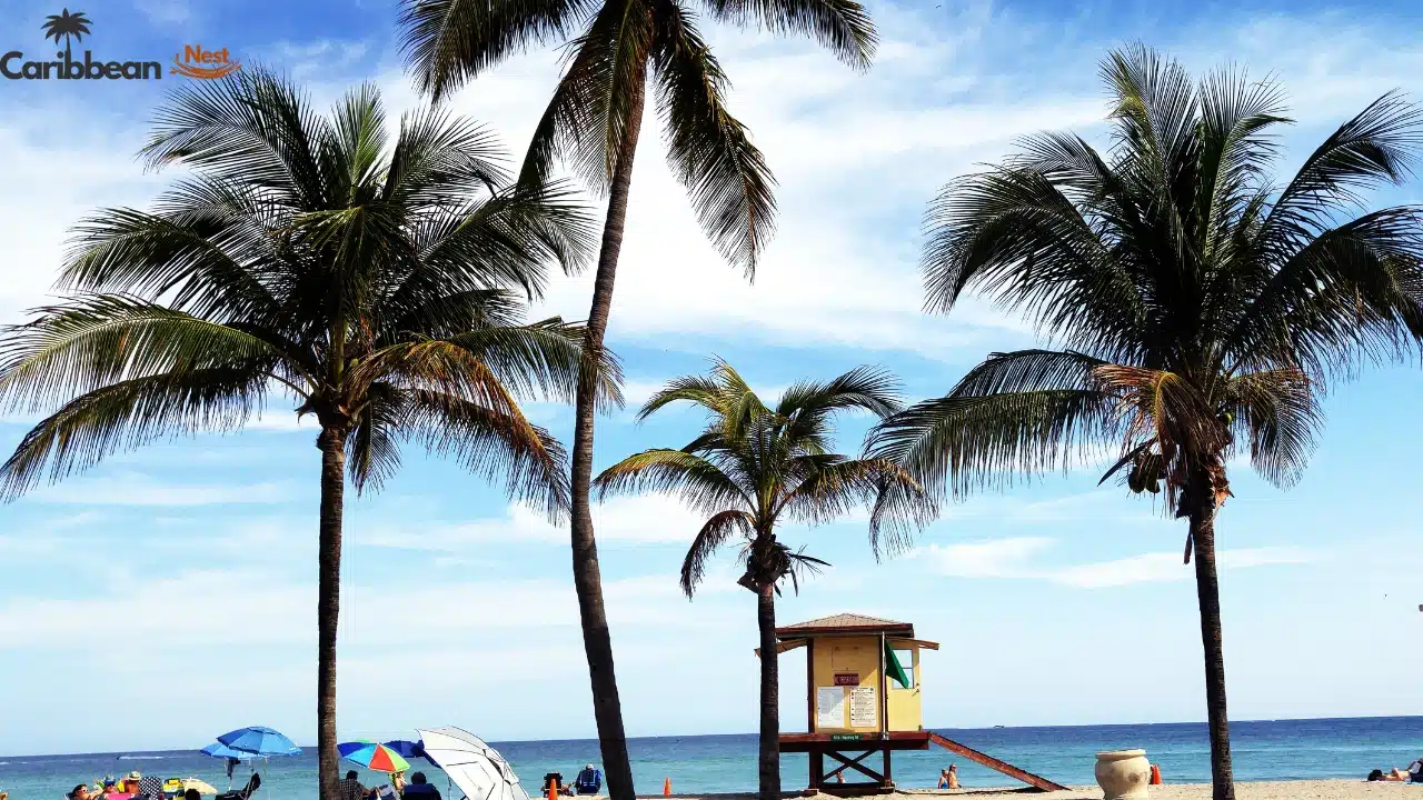 10 Things Not to Do in Aruba in 2026 8 dont-stay-in-overcrowded-tourist-areas