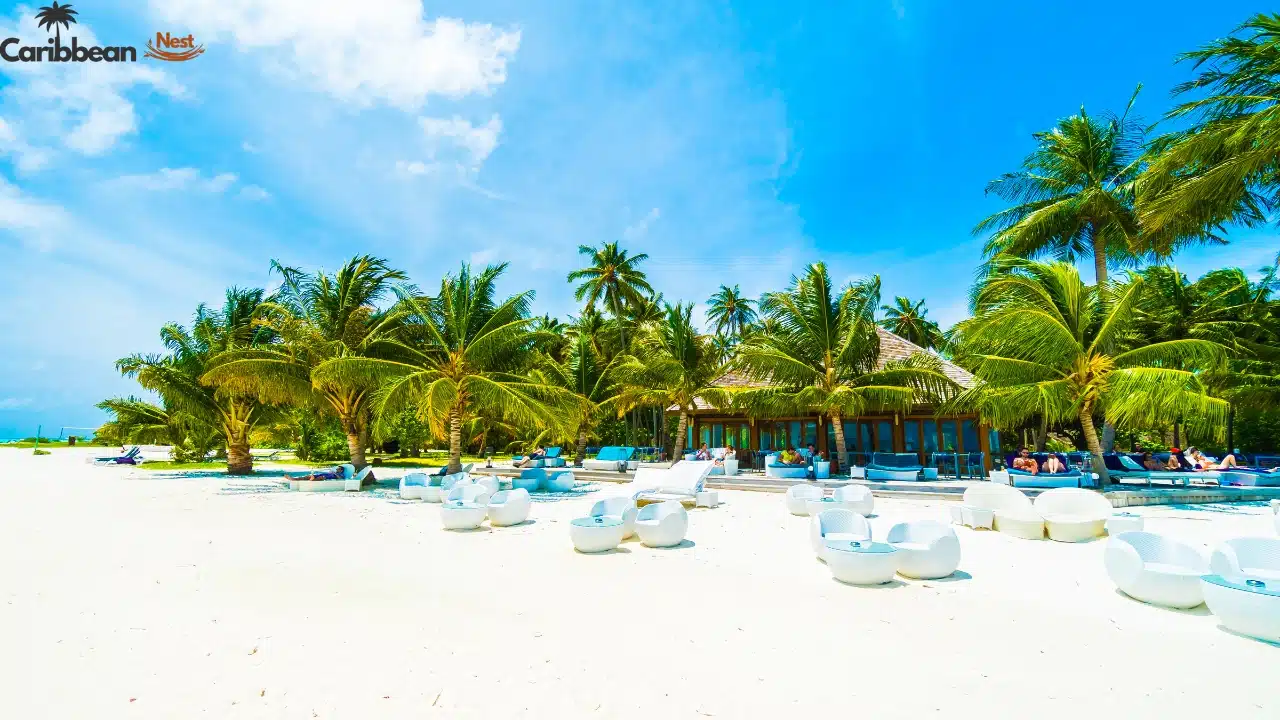 10 Things Not to Do in Aruba in 2026 1 10 Things Not to Do in Aruba in 2025