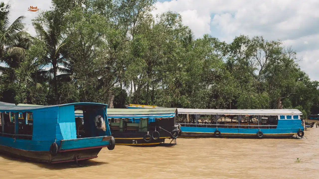 How to Visit Aruba on a Budget in 2026? 9 transportation-in-aruba-affordable-ways-to-get-around