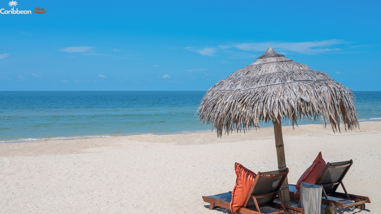 How to Visit Aruba on a Budget in 2025? 7 tips-for-saving-on-arubas-top-attractions