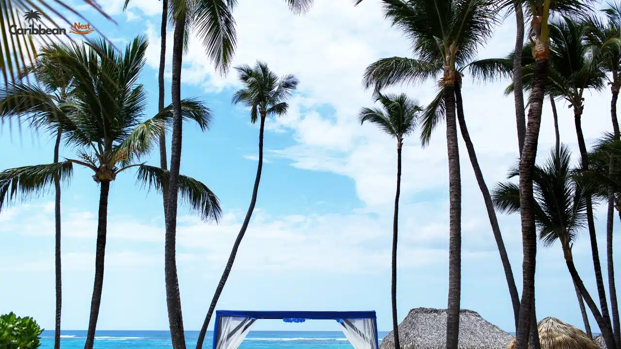 Aruba vs Curaçao in 2026 — Beaches, Nightlife & Costs Compared 3 beaches-aruba-vs-curacao