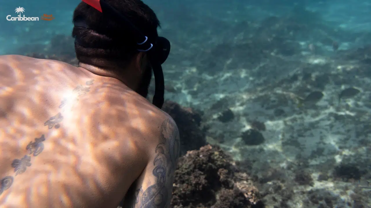 Best Snorkeling Spots in Curaçao for Beginners 2026 5 playa-kalki