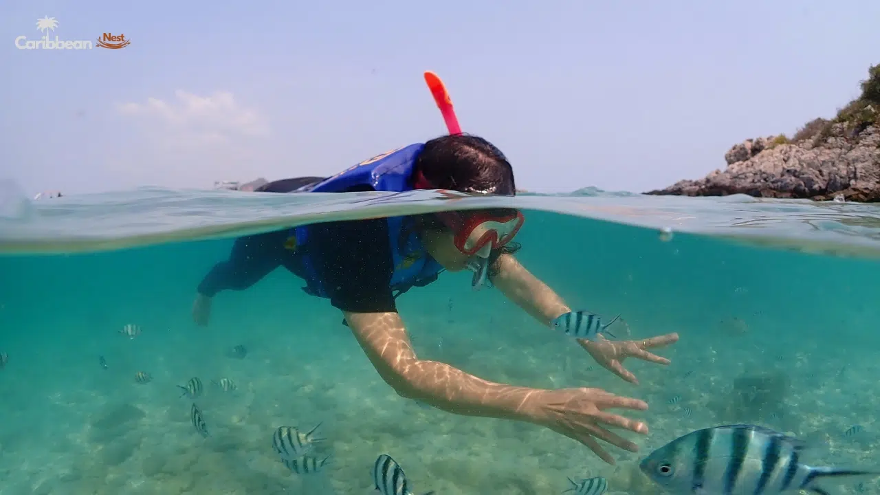 Best Snorkeling Spots in Curaçao for Beginners 2026 11 beginner-snorkeling-safety-tips-in-curacao