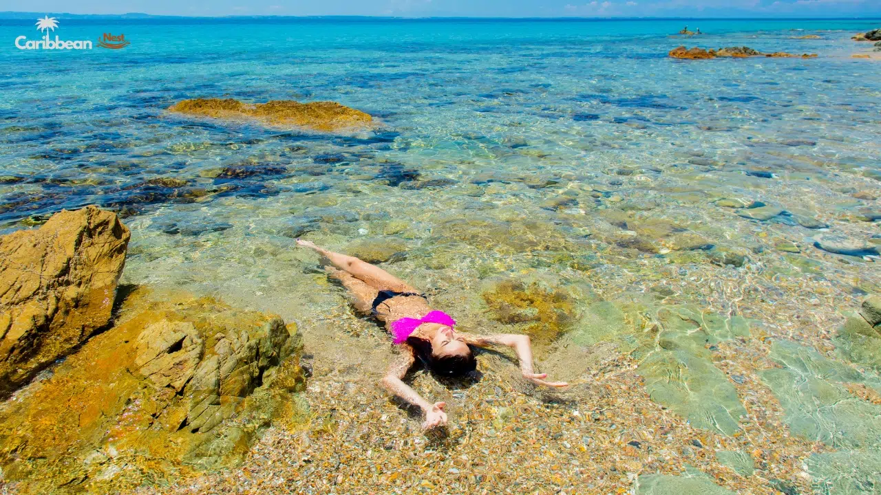 Best Snorkeling Spots in Curaçao for Beginners 2026 3 best-snorkeling-beaches-in-curacao-for-beginners