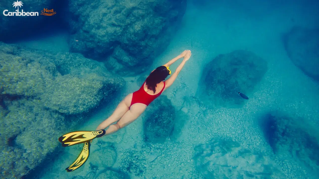 9 Hidden Places in Curaçao — Most Travelers Miss 5 off-the-beaten-path-snorkeling-spots