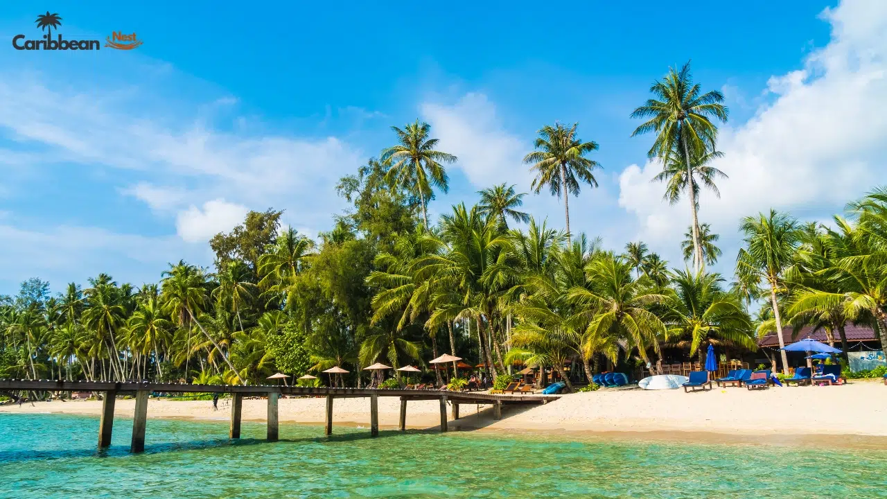 Bonaire vs Curaçao vs Aruba – Which ABC Island Is Best in 2026? 11 cost-crowds-and-vibe