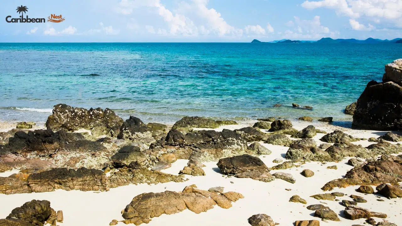 Bonaire vs Curaçao vs Aruba – Which ABC Island Is Best in 2026? 3 bonaire-vs-curacao-vs-aruba-at-a-glance