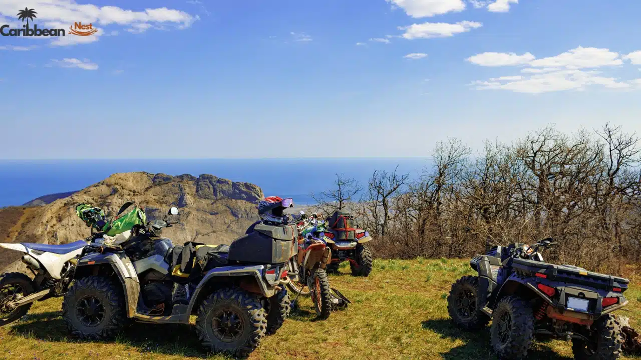 32 Best Activities to do in Aruba in 2026 2 top-unique-experiences-in-aruba