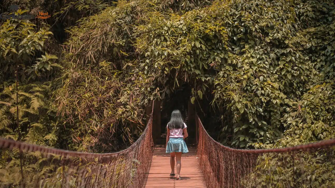 32 Best Activities to do in Aruba in 2026 16 visit-the-natural-bridge-of-aruba