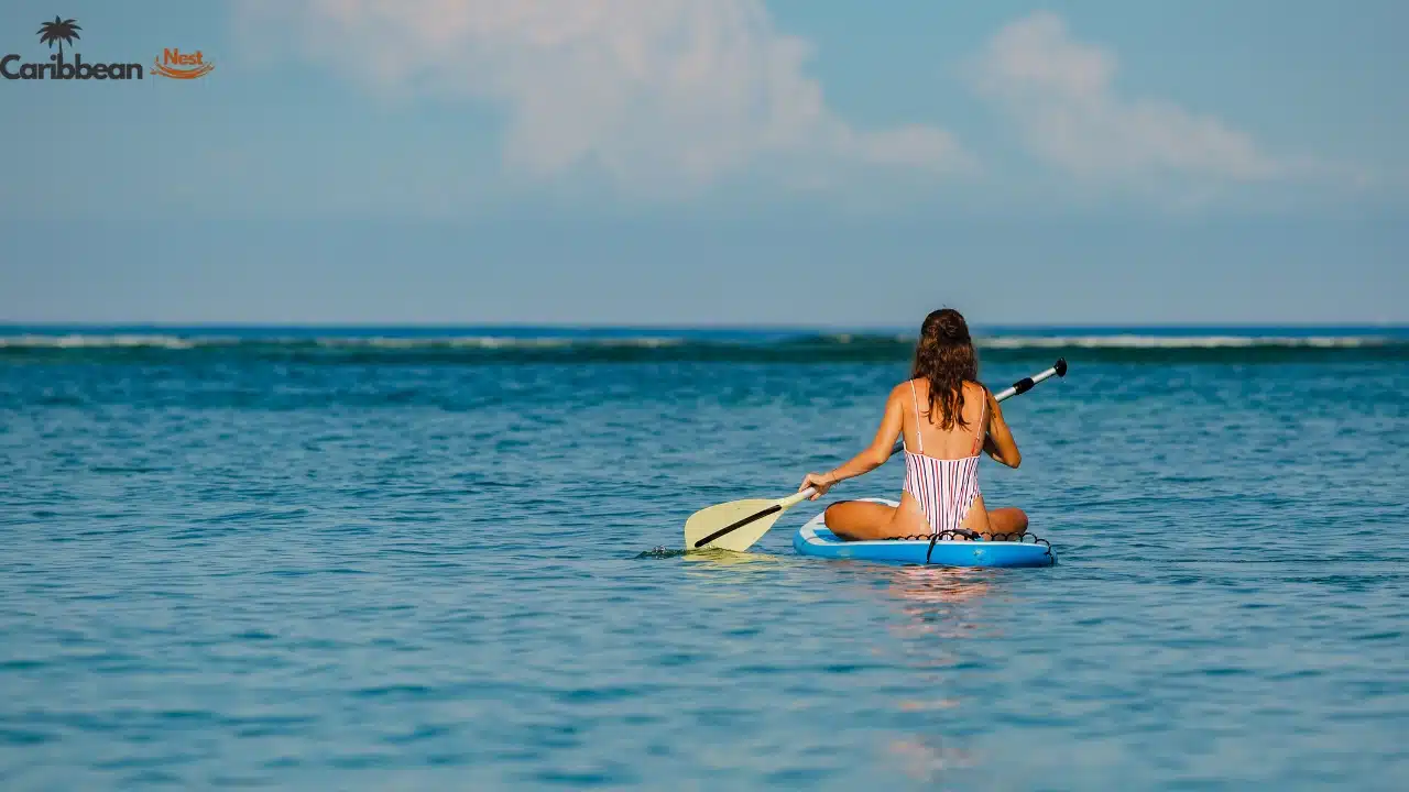 32 Best Activities to do in Aruba in 2026 9 set-sail-on-an-aruba-catamaran-cruise