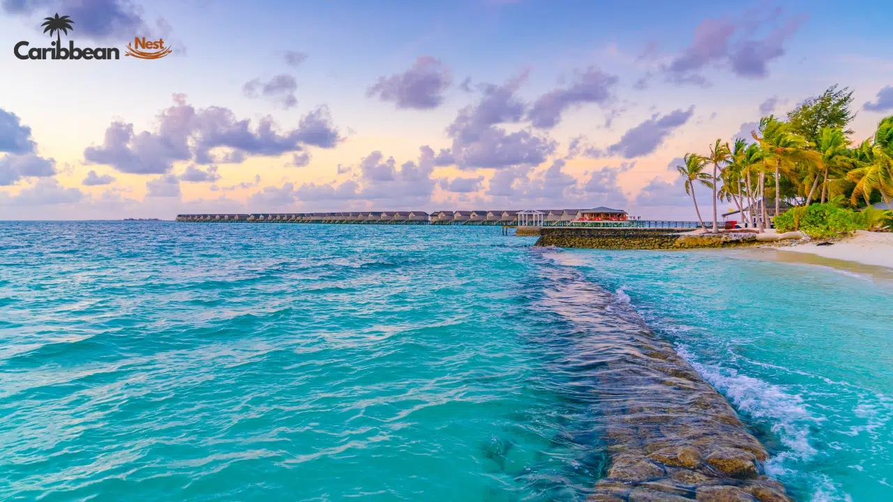 assuming-all-beaches-are-the-same