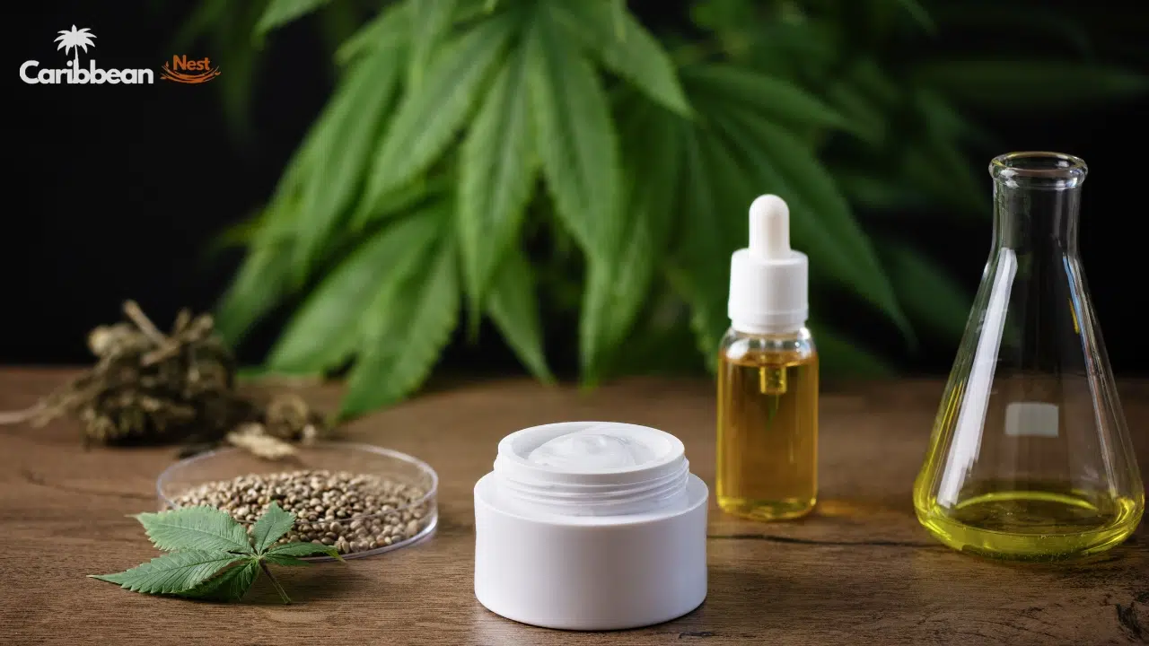 can-you-bring-cannabis-into-the-bahamas