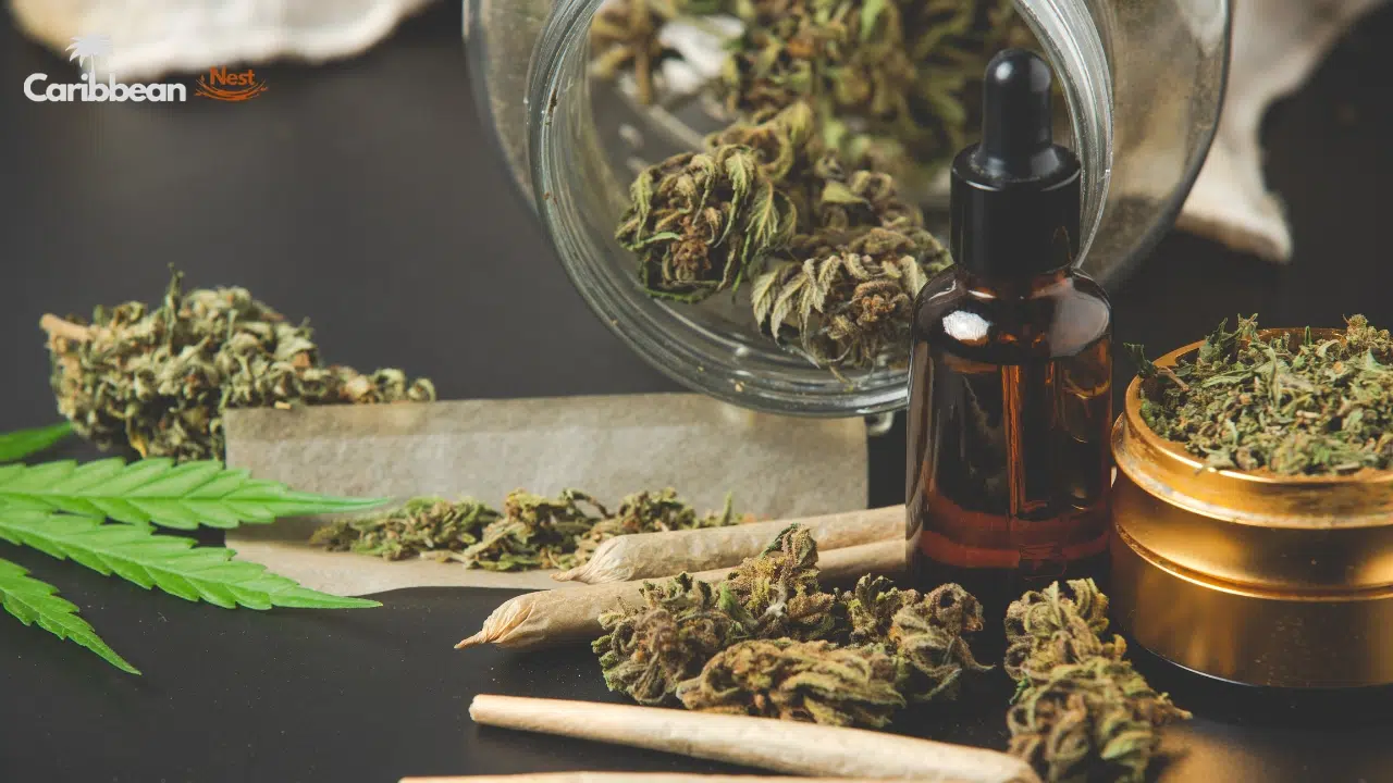 current-cannabis-laws-in-the-bahamas