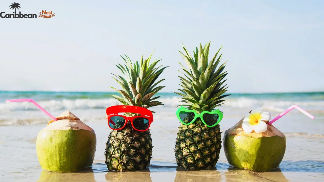 final-verdict-is-aruba-in-summer-worth-it