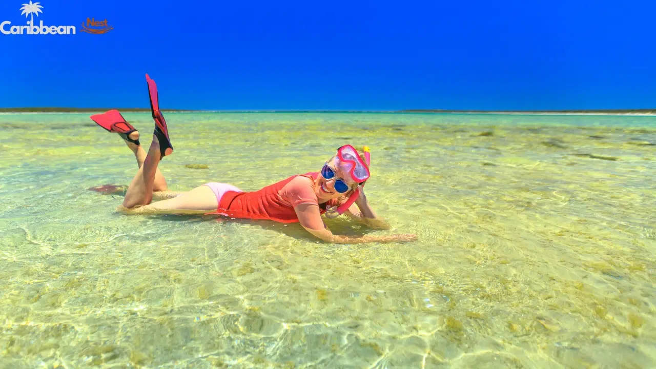 best-things-to-do-in-aruba-in-summer