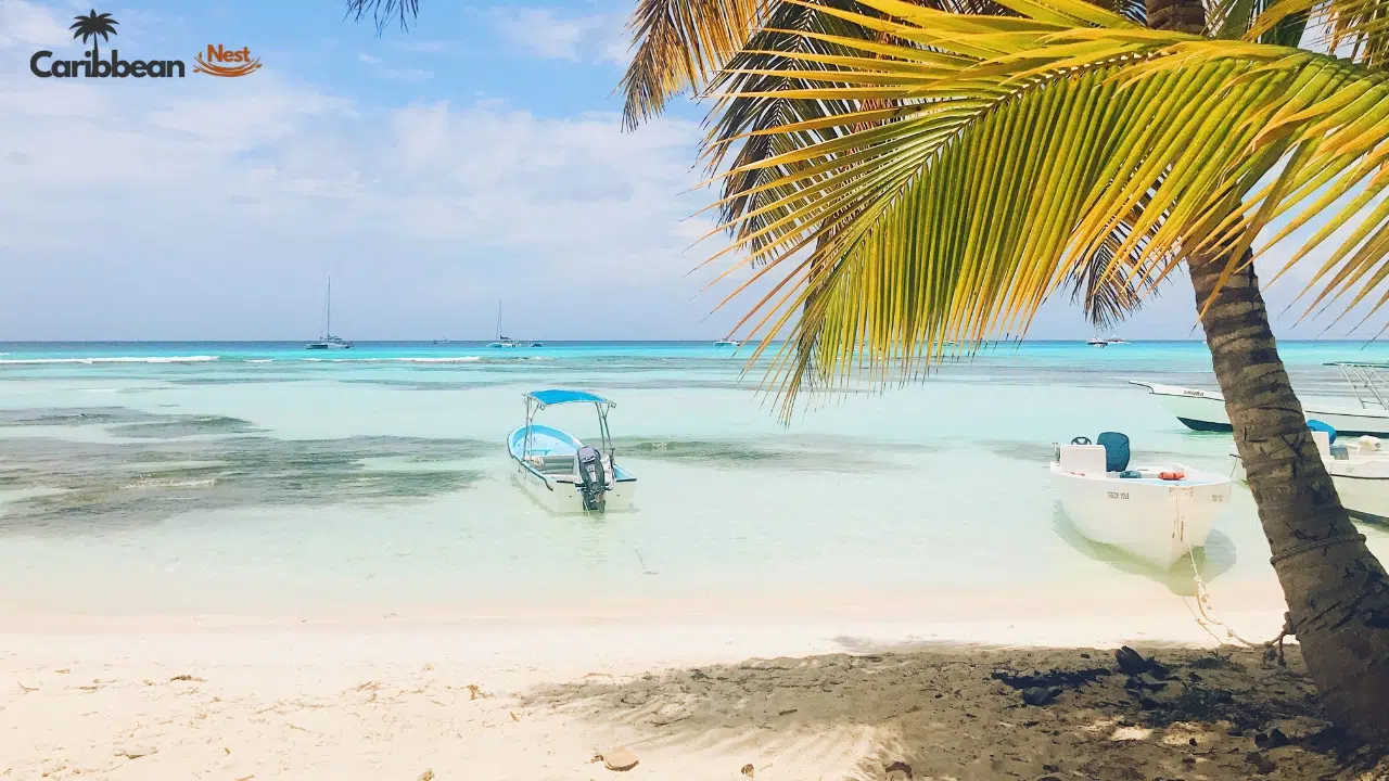 best-months-to-visit-aruba-for-beaches-your-ultimate-usa-travel-guide-2026