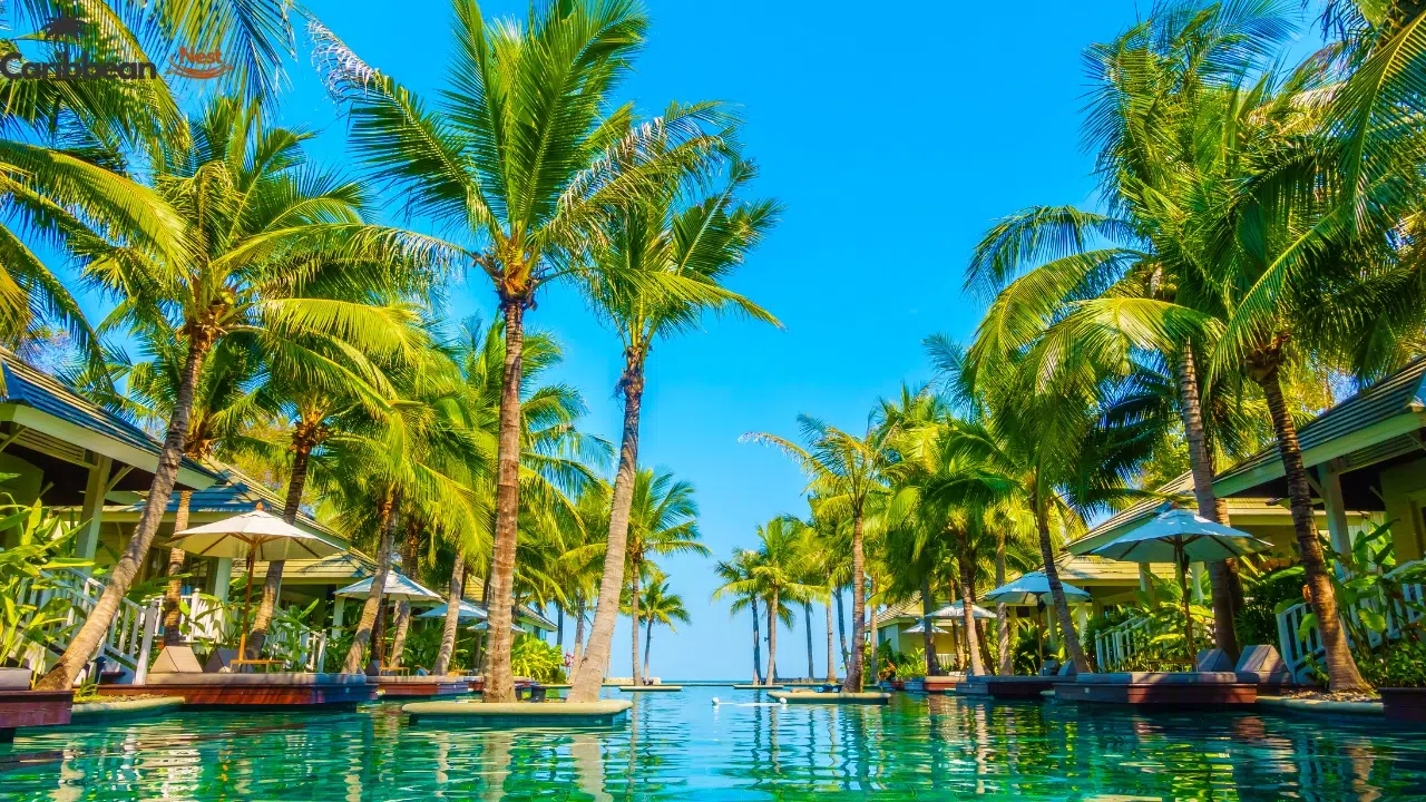 aruba-vs-other-caribbean-destinations-which-island-is-best-for-your-trip-in-2026