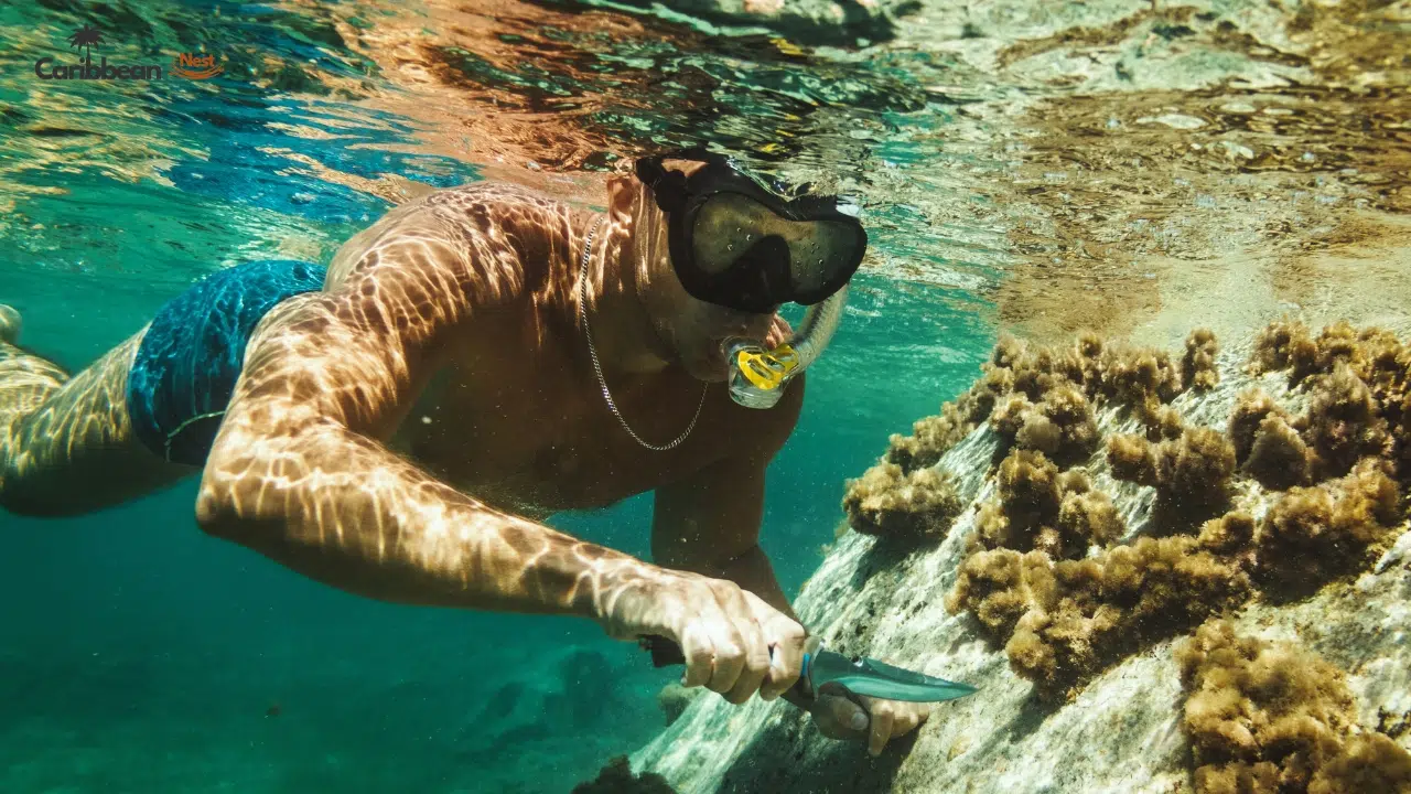 snorkeling-and-diving-spots