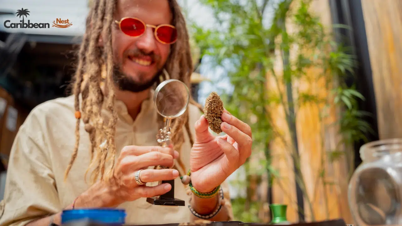 caribbean-countries-where-weed-is-still-illegal
