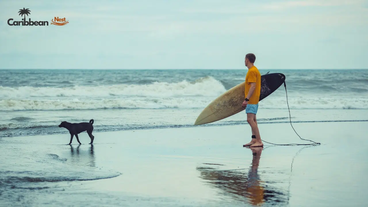 single-kite-surfing-lesson