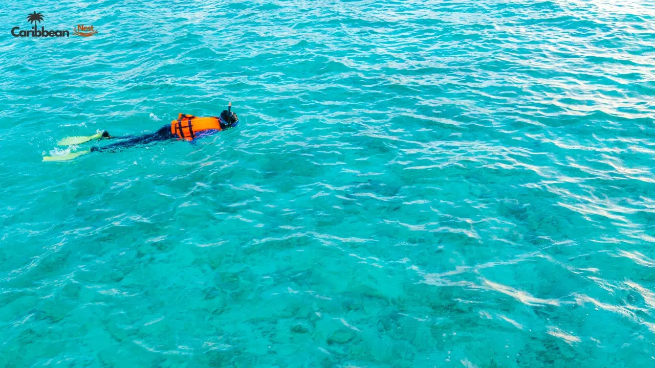 how-to-book-your-guided-tour