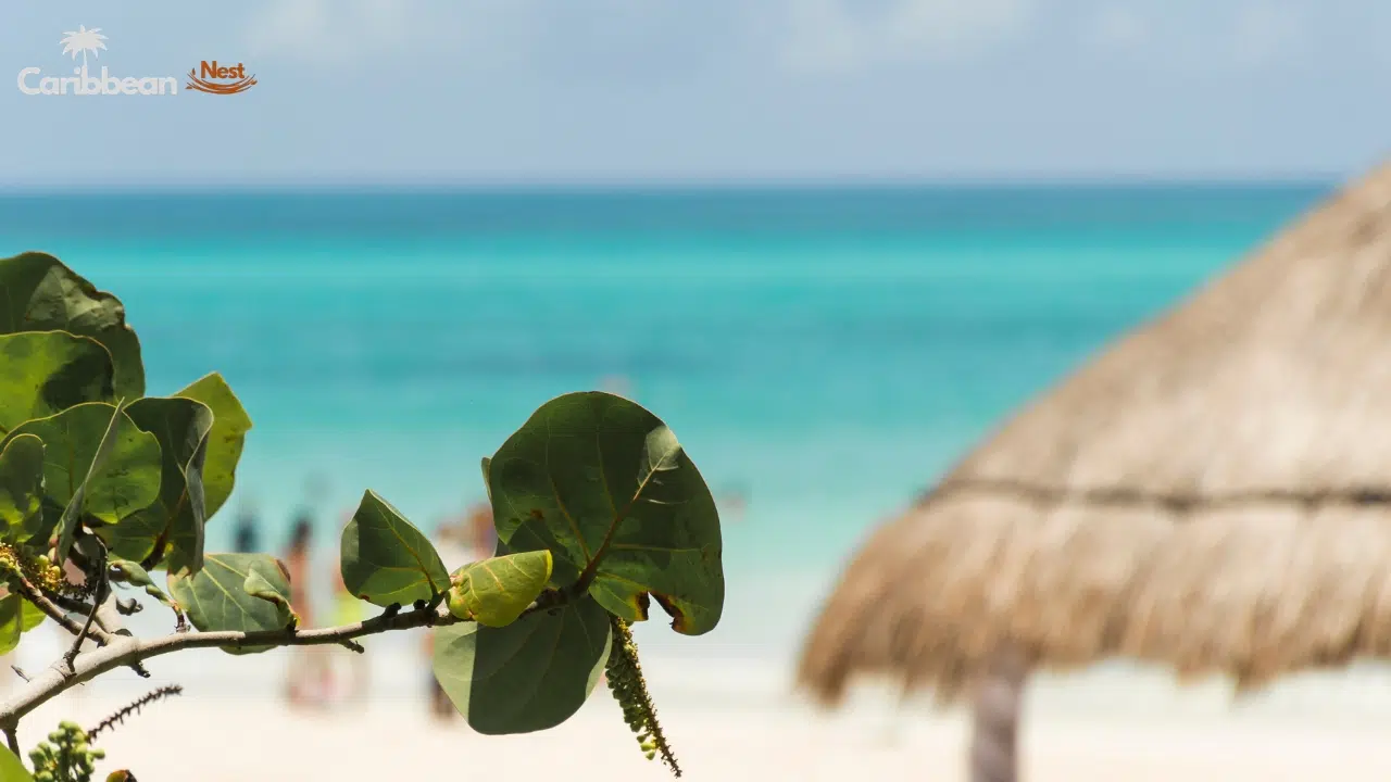 secret-beaches-in-curacao-you-shouldnt-miss