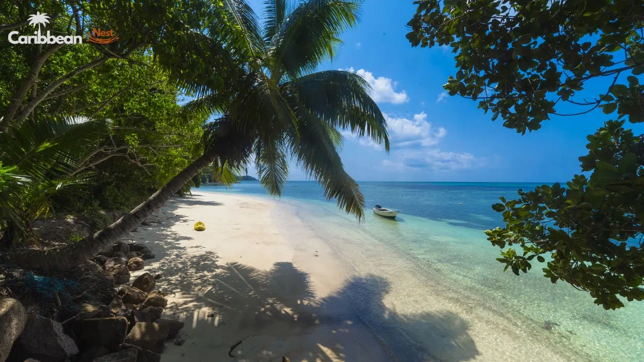 caribbean-hidden-beaches-only-locals-visit-2026-best-guide-for-usa-travelers