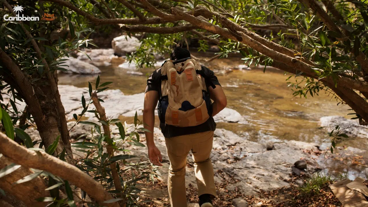 saint-lucia-–-volcano-views-and-tropical-forests